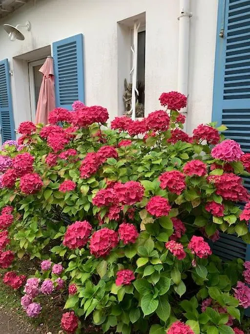 Vacances A 50M De La Plage Et De La Mer Tregastel France